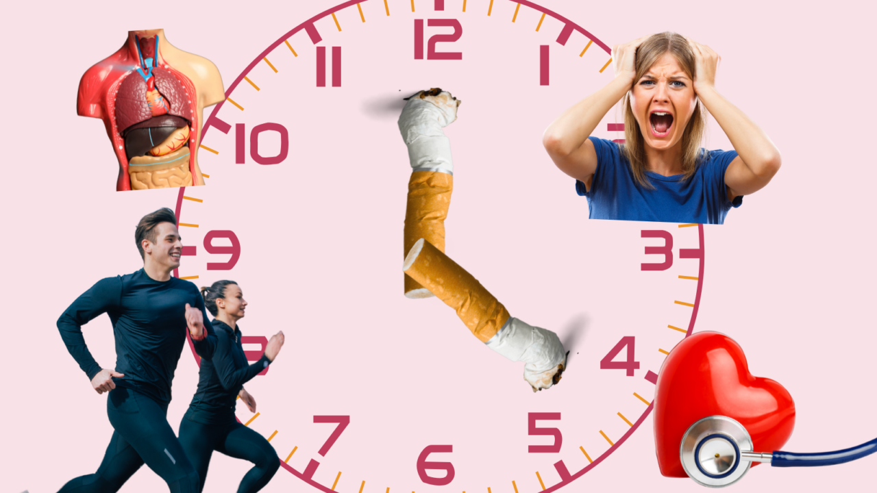 Tidslinje over, hvad der sker i kroppen under et rygestop