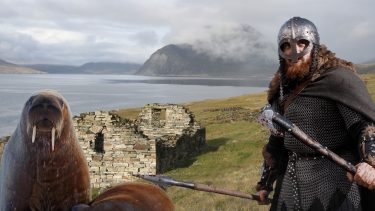 Vikinger nordboere Grønland forsvandt hvalros jagt rovdrift