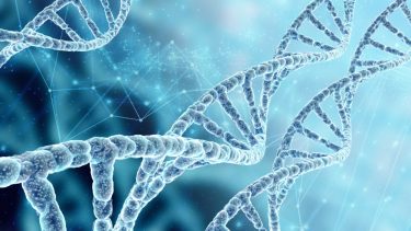 DNA