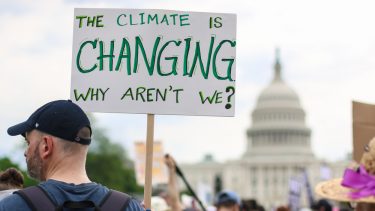 Forskere Sådan kan vi bekæmpe klimaforandringerne