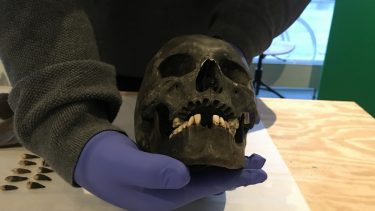 pest byldepest epidemi coronavirus 1711 død massegrav arkæologi smitte sygdom historie