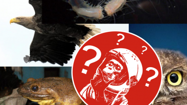 quiz_2