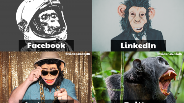 Videnskab.dk sociale medier