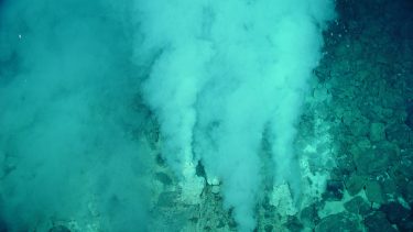 Klamydiabakterier havet Ishavet