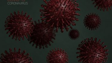 COVID-19 corona Case Fatality Ratio Infection Fatality Ratio sygdom smitte epidemi pandemi udbredelse udbrud global spredning Verdenssundhedsorganisationen risiko epidemiolog Kina Wuhan vaccine behandling
