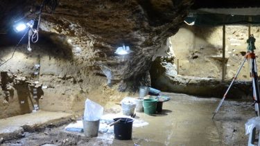 knogler homo sapiens europa