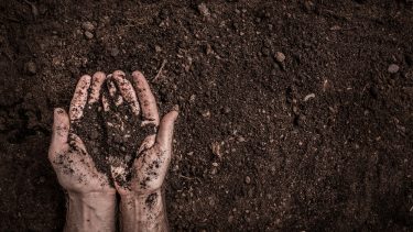 jord muld tørv planter sten grus ler silt gletsjer indlandsis nedbryde plantejord planteskole bakterier svampe organiske materiale altankasser
