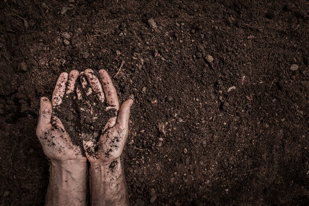 jord muld tørv planter sten grus ler silt gletsjer indlandsis nedbryde plantejord planteskole bakterier svampe organiske materiale altankasser
