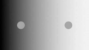 optisk illusion hvorfor videnskab øjet syn