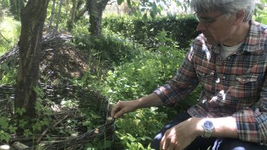 klimahave biodiversitet vild have co2 kulstof humus ukrudt haveaffald