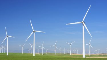 grøn omstilling vedvarende energi fossil klima klimakrise bæredygtig