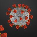 coronavirus vaccine kur forskning