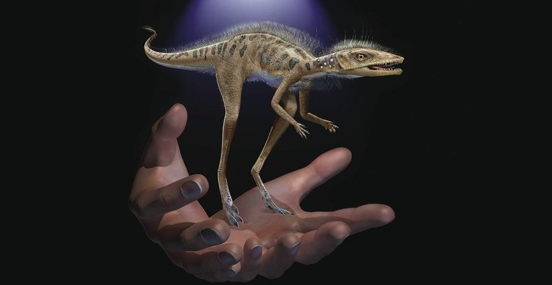 første dinosaur tidlig trias