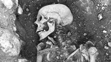 Vikingeskelet