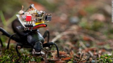 insektrobot verdens mindste kamera