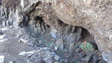 dna i lort menneskelort grotte stenalder