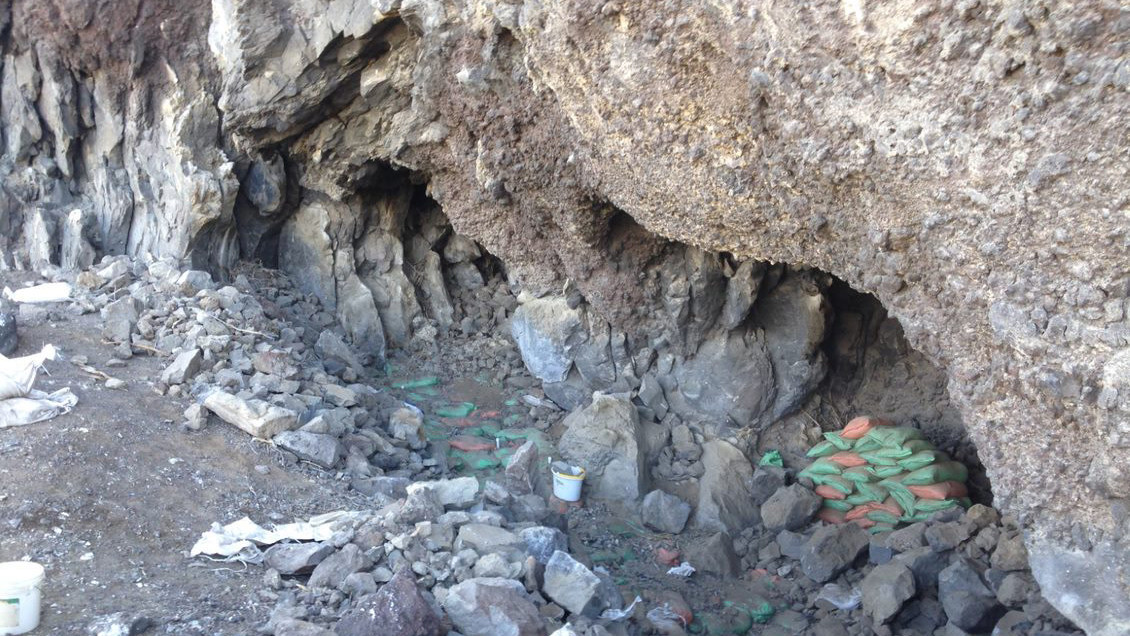 dna i lort menneskelort grotte stenalder