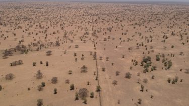 Tørke Sahel Senegal flod forskningsprojektet ALL-WET data fra NASA hydrologisk model ændringer Jordens vandkredsløb hydrologi satellitdata mikrobølger trædød evapotranspiration fordampning
