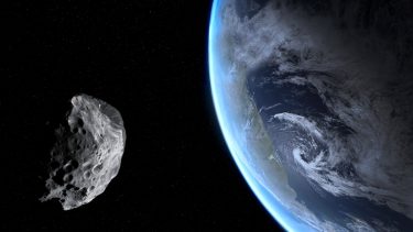 2020 amerikansk valg asteroide