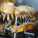 Deinosuchus Krokodille Kæmpekrokodille Banan Tænder Dinosaur