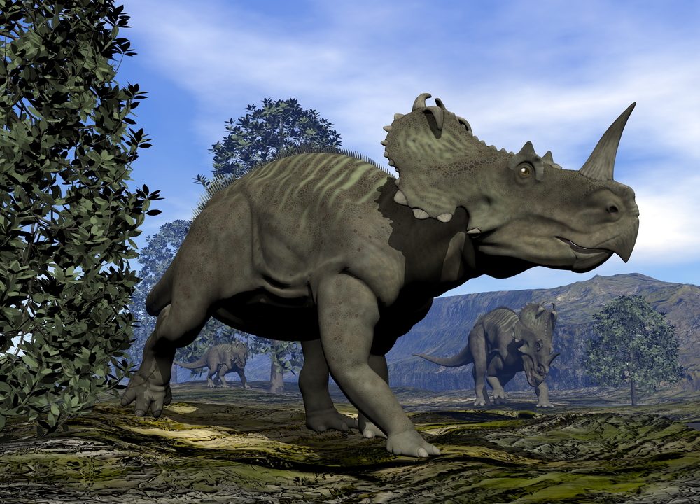 dinosaur knoglekræft centosaurus