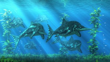 ichthyosaur fisk dinosaur hav fortid fossil fundet med byttedyr i maven