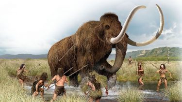 Jagt mammut
