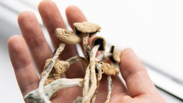 Psykedeliske svampe religiøse sprituelle