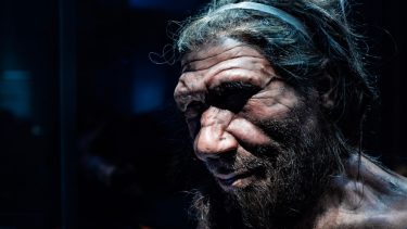 jagten på neandertalere i danmark mysterie nationalmuseet