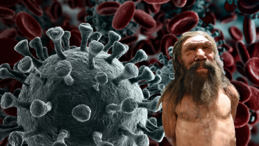 Neandertaler Corona Genetik