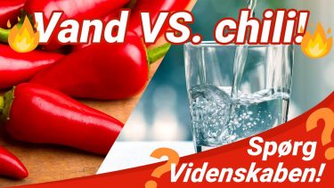 vand chili
