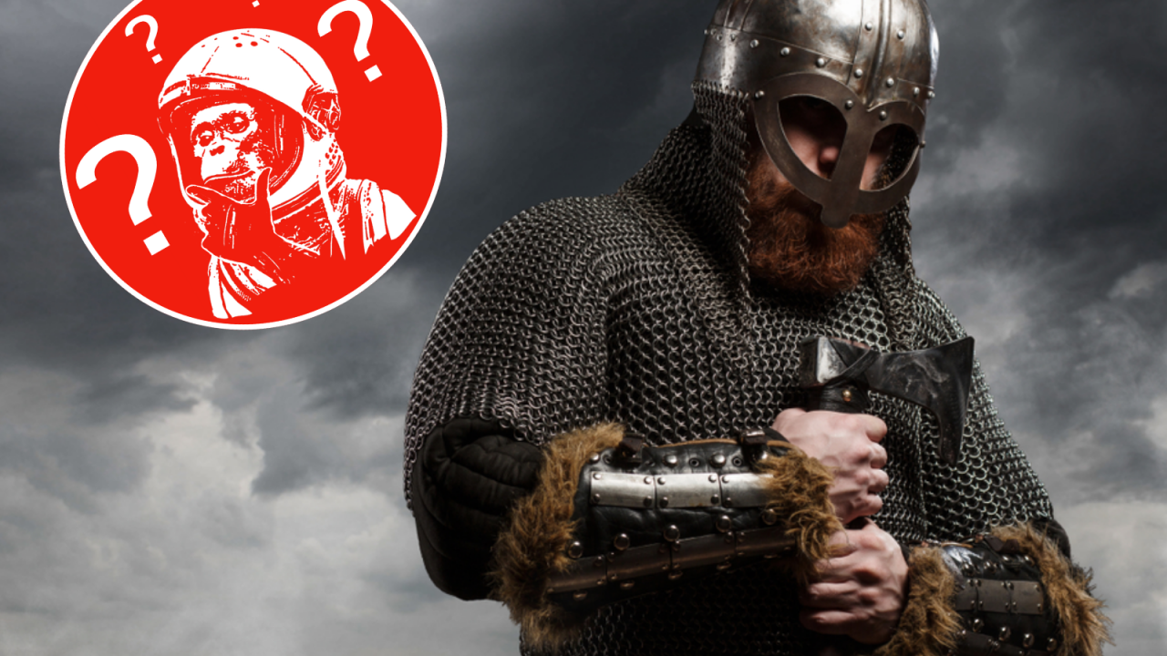 viking quiz videnskab