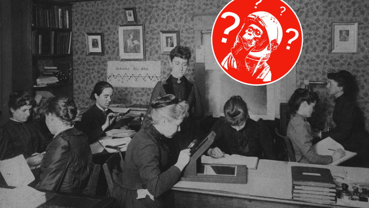 pickerings harem videnskabens kvinder quiz feminisme