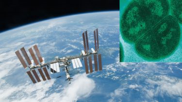 iss bakterie ekstremofil år