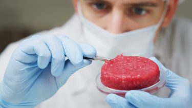 laboratorie kød stamcelle oksekøde forsker inspektion