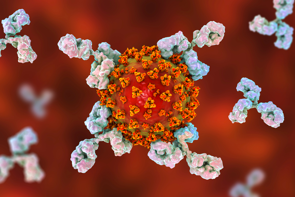 coronavirus antistoffer vaccine