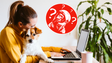 quiz om hunde hundequiz hvad ved du