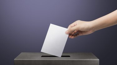 demokrati stemme retfærdighed valg