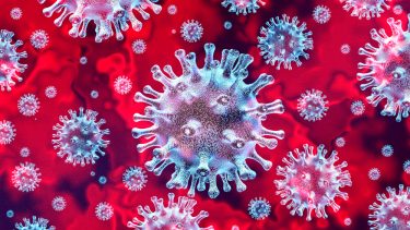 coronavirus corona