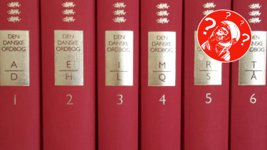 dansk sprog udvikling låneord