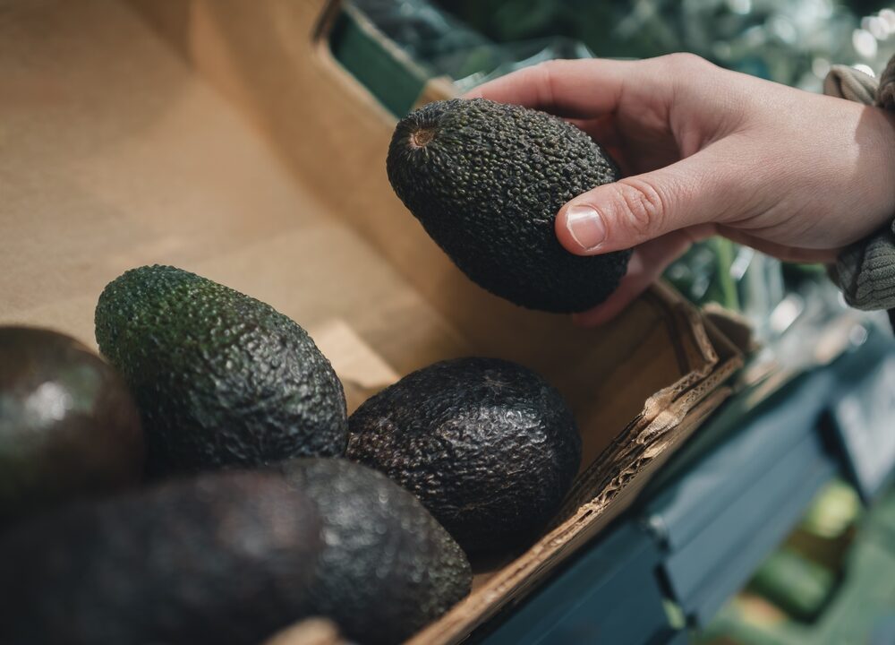 Et nærbillede af en hånd, der holder en avocado i et supermarked