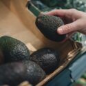 Et nærbillede af en hånd, der holder en avocado i et supermarked