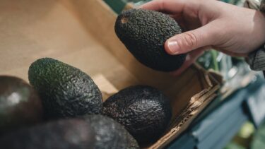 Et nærbillede af en hånd, der holder en avocado i et supermarked