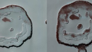 Smiley krater Mars gladere smil klima Solen