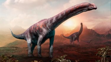 titanosaurus langhals saurpod dinosaur kæmpe stor største argentina patagonia