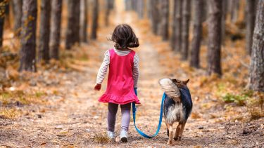 Hunde børn familie interaktion opførsel synkronisere bevægelser