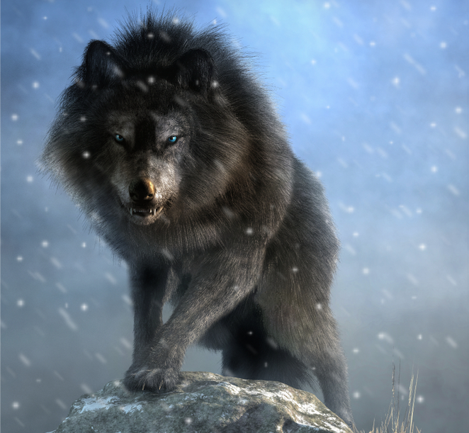 direwolf uddød ikke ulve genetik studie