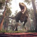 tyrannosaurus rex unge dinosaur forælder