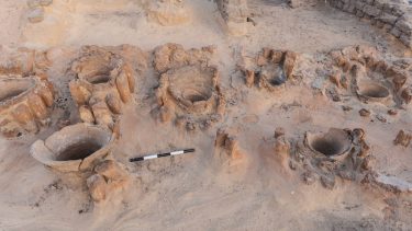 abydos bryggeri egypten