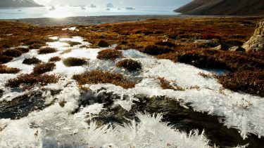 permafrost Grønland smeltesø klimaforandringer miljø